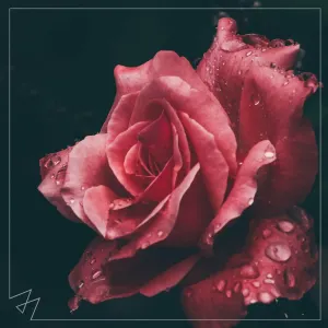 Pochette de Too Good at Goodbyes de Madilyn Bailey