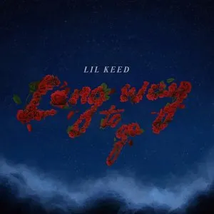 Pochette de Long Way To Go de Lil Keed