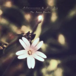 Pochette de The Inner Vaults de Alio Die