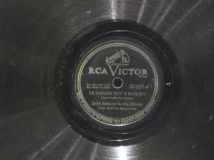 Pochette de Ya Wanna Buy a Bunny? / Knock Knock de Spike Jones and His City Slickers