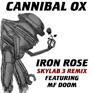 Pochette Iron Rose (Skylab 3 remix)