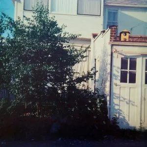 Pochette de Twelfth Apostle de Jandek