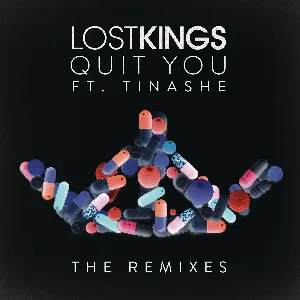 Pochette Quit You (Remixes)