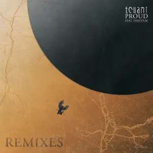 Pochette de Proud (remixes) de Tchami
