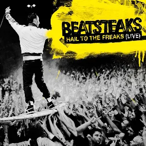 Pochette de Hail to the Freaks (Live) de Beatsteaks