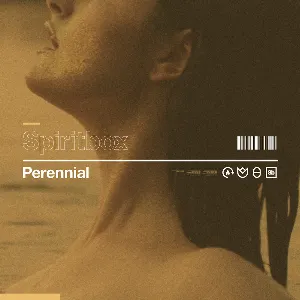 Pochette de Perennial de Spiritbox