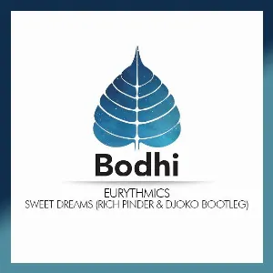 Pochette de Sweet Dreams (Rich Pinder & DJOKO Bootleg) de Eurythmics