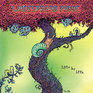 Pochette de Little by Little de Widespread Panic