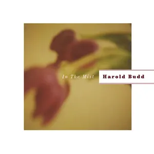 Pochette de In the Mist de Harold Budd