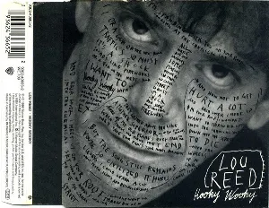 Pochette de Hooky Wooky de Lou Reed