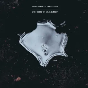 Pochette de Belonging to the Infinity de Sound Awakener