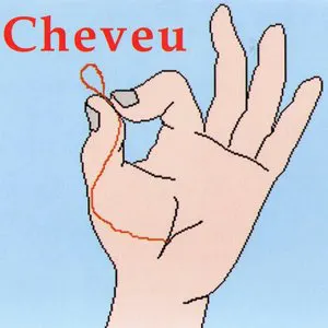 Pochette Cheveu