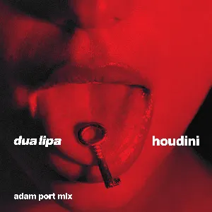 Pochette Houdini (Adam Port mix)