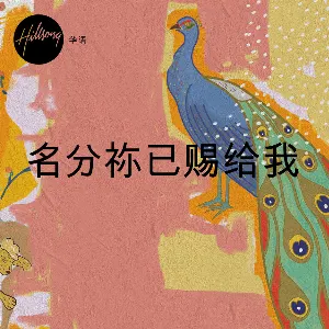 Pochette de 名分祢已赐给我 de Hillsong Worship