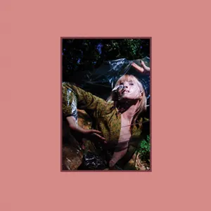 Pochette de FLOWERS for VASES / descansos & PETALS for ARMOR de Hayley Williams