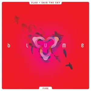 Pochette de Fire de Said the Sky