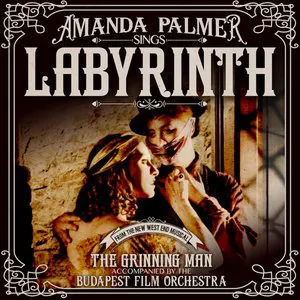 Pochette Labyrinth (from The Grinning Man)