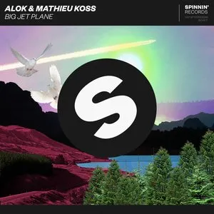Pochette de Big Jet Plane de Alok