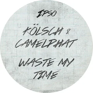 Pochette de Waste my time de CamelPhat