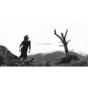 Pochette de 走る de Maaya Sakamoto