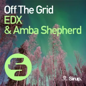 Pochette de Off The Grid de Amba Shepherd
