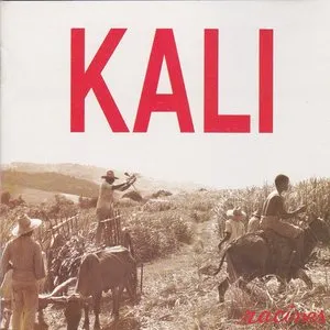 Pochette de Racines de Kali
