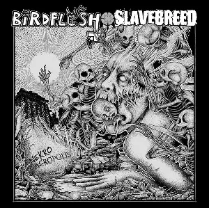 Pochette de Nekroacropolis de Birdflesh