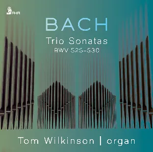 Pochette Trio Sonatas, BWVV 525–530