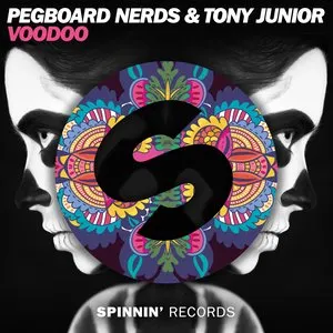 Pochette de Voodoo de Pegboard Nerds