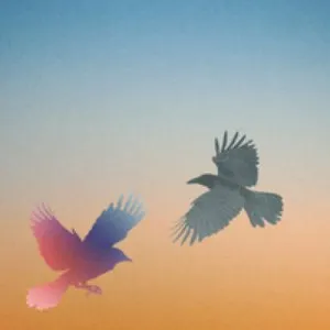Pochette de Afters de Elderbrook