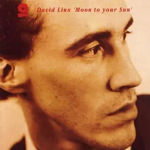 Pochette de Moon to Your Sun de David Linx
