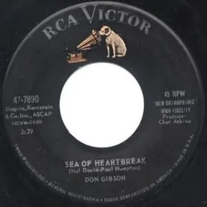 Pochette de Sea of Heartbreak de Don Gibson