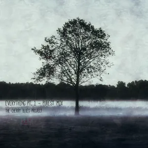 Pochette de Everything, Pt. 1 (Purest Mix) de The Cherry Blues Project