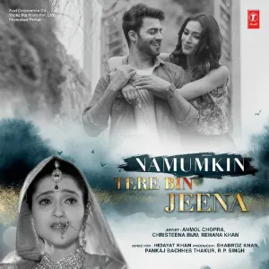 Pochette de Namumkin Tere Bin Jeena de Monty Sharma