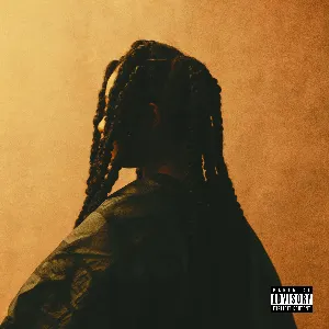 Pochette de For Broken Ears de Tems
