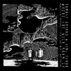 Pochette de Where The Wild Roam EP de Jimi Tenor