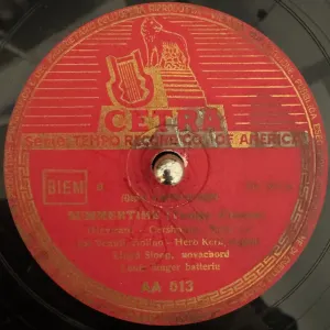 Pochette de Summertime de Joe Venuti