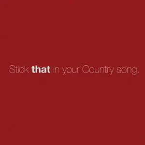 Pochette Stick That in Your Country Song