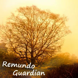 Pochette de Guardian de Remundo