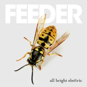 Pochette de Eskimo de Feeder