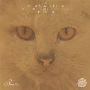 Pochette de Doors EP de Dosem