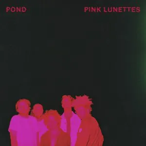 Pochette Pink Lunettes