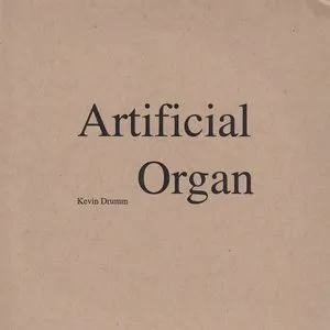 Pochette de Artificial Organ de Kevin Drumm