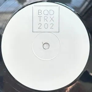 Pochette de I'm Broken de Ricardo Villalobos