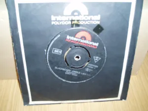 Pochette de Blackboard Jungle Lady / Summertrain de Sandy Coast