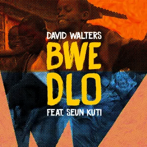 Pochette de Bwè Dlo Remixes de David Walters