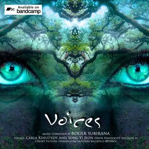 Pochette de Voices de Roger Subirana Mata