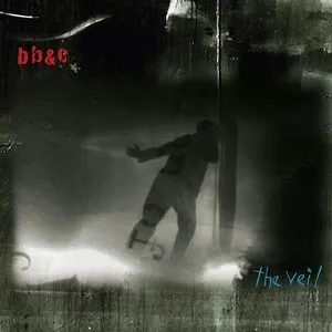 Pochette de The Veil de Tim Berne - Nels Cline