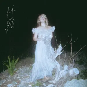 Pochette de Donovan de Linying