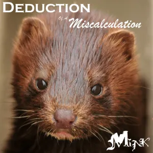 Pochette de Mink de Deduction of a Miscalculation